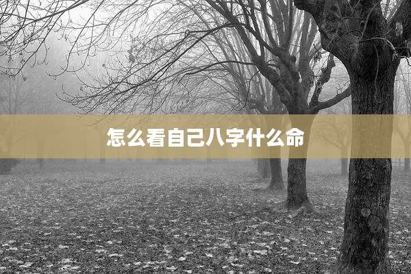怎么看自己八字什么命