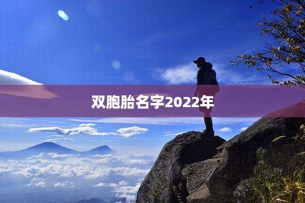 双胞胎名字2022年