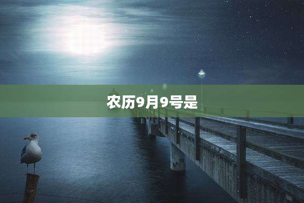 农历9月9号是