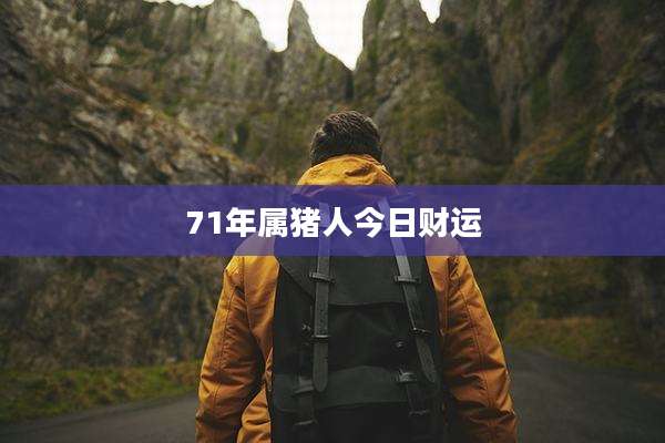 71年属猪人今日财运