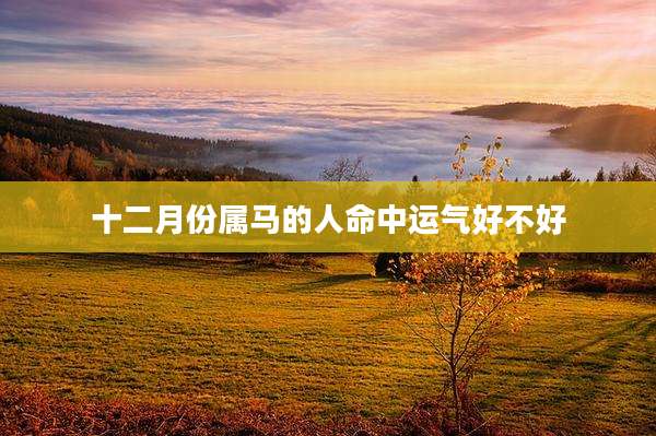 十二月份属马的人命中运气好不好