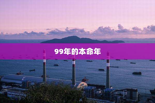 99年的本命年
