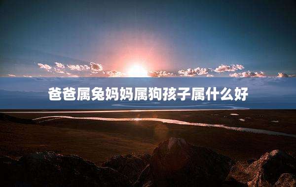 爸爸属兔妈妈属狗孩子属什么好