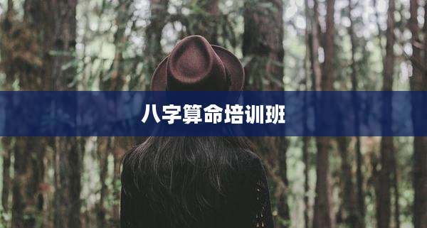 八字算命培训班