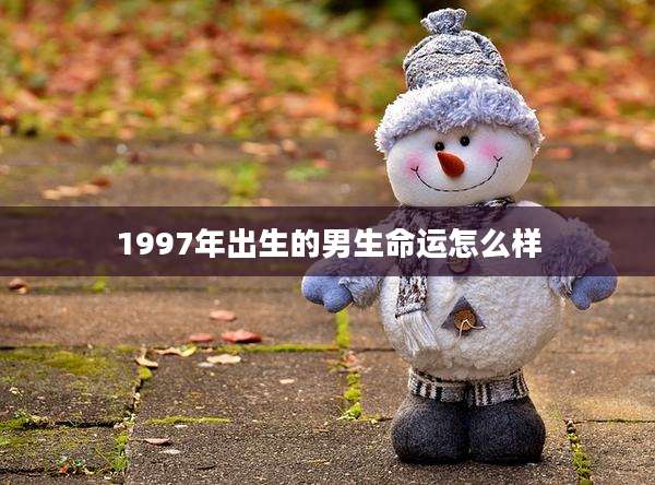 1997年出生的男生命运怎么样