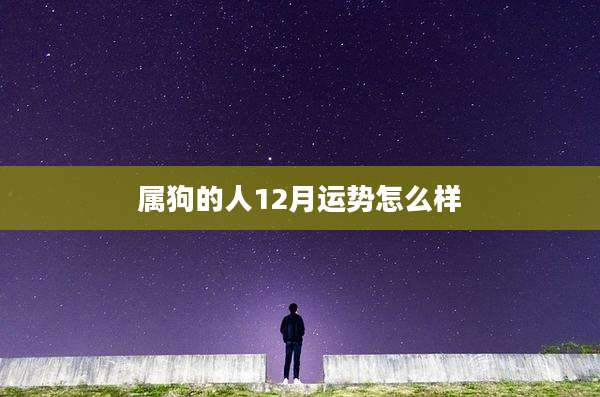 属狗的人12月运势怎么样
