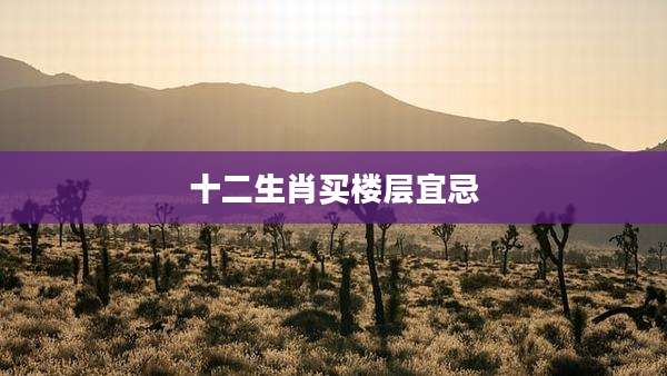 十二生肖买楼层宜忌