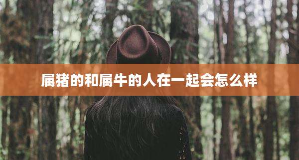 属猪的和属牛的人在一起会怎么样