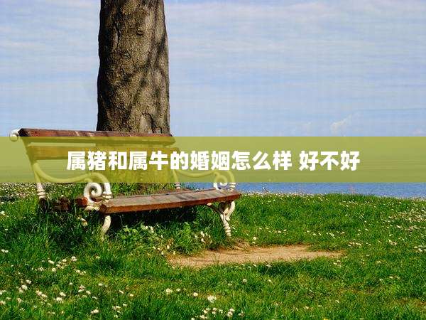 属猪和属牛的婚姻怎么样 好不好