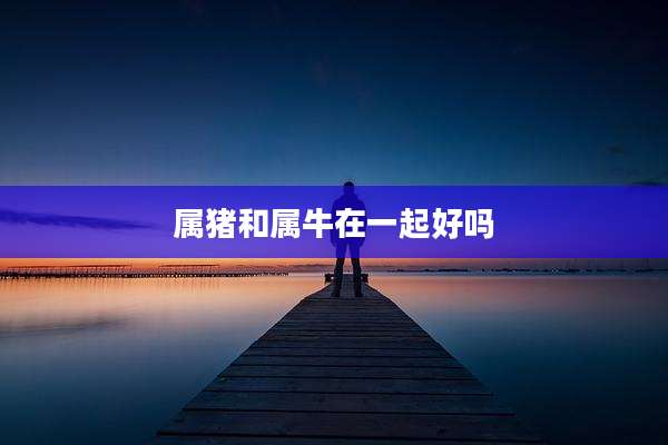 属猪和属牛在一起好吗