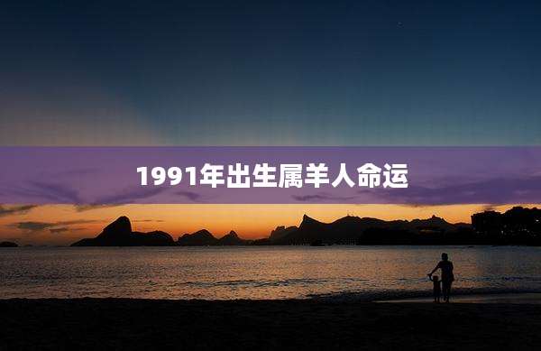 1991年出生属羊人命运