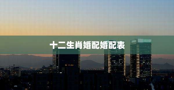 十二生肖婚配婚配表