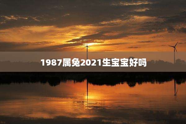 1987属兔2021生宝宝好吗