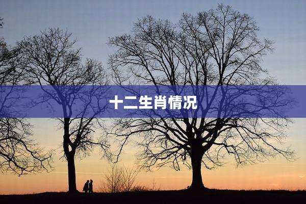 十二生肖情况