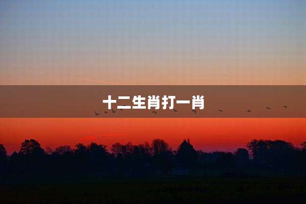 十二生肖打一肖