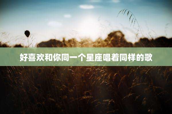 好喜欢和你同一个星座唱着同样的歌