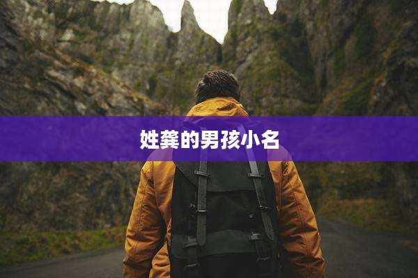 姓龚的男孩小名