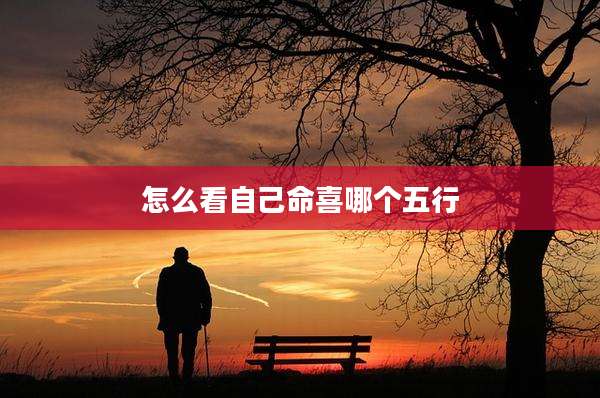 怎么看自己命喜哪个五行