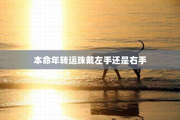本命年转运珠戴左手还是右手