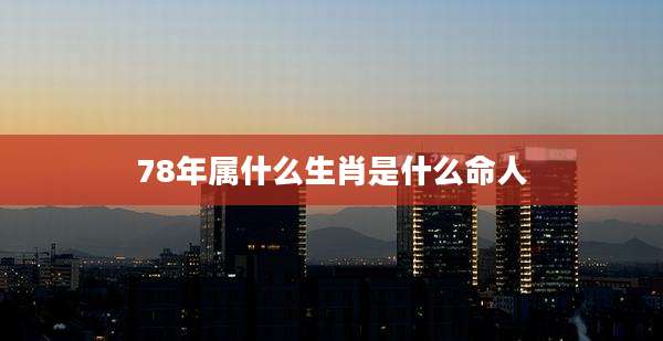 78年属什么生肖是什么命人