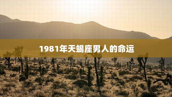 1981年天蝎座男人的命运