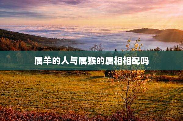 属羊的人与属猴的属相相配吗