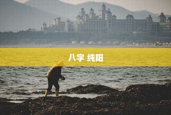 八字 纯阳