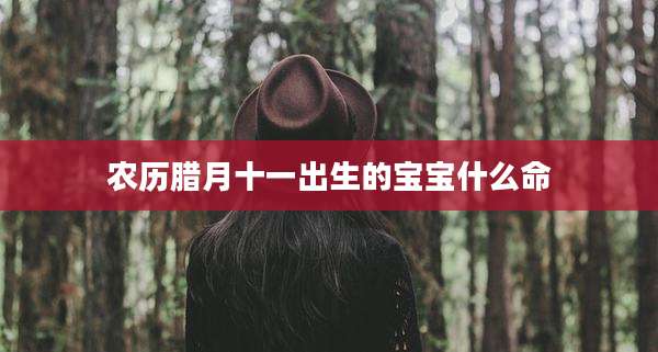 农历腊月十一出生的宝宝什么命