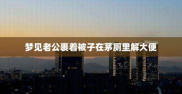 梦见老公裹着被子在茅厕里解大便
