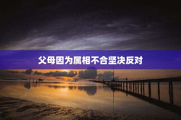 父母因为属相不合坚决反对