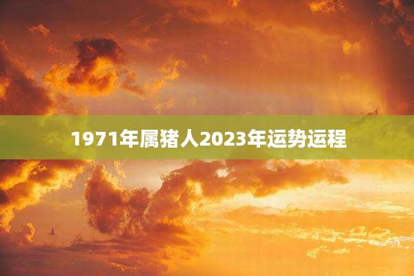 1971年属猪人2023年运势运程