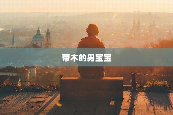带木的男宝宝