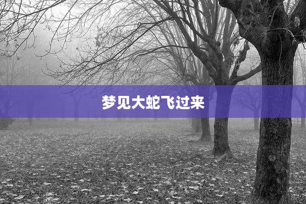 梦见大蛇飞过来