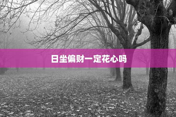 日坐偏财一定花心吗