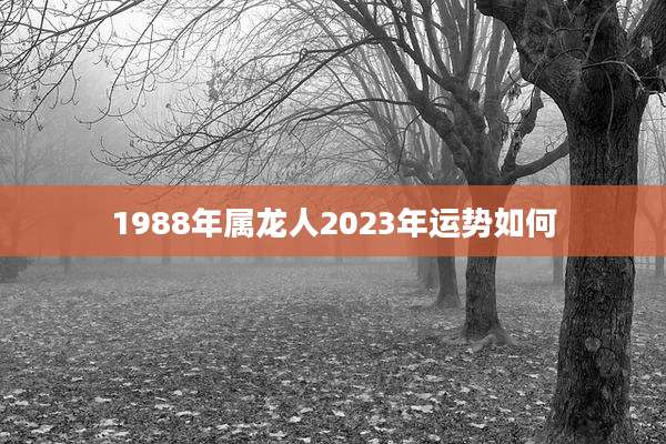 1988年属龙人2023年运势如何