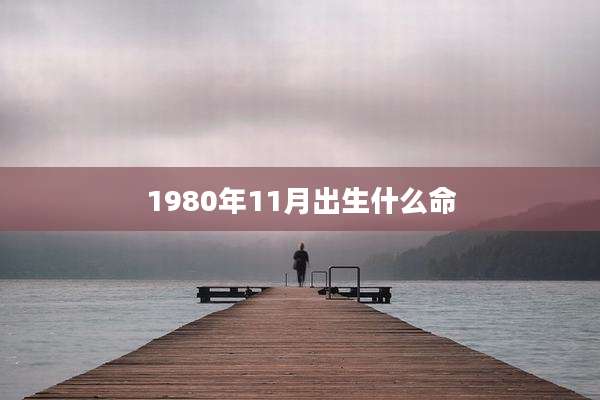 1980年11月出生什么命