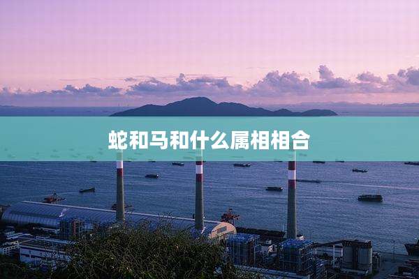 蛇和马和什么属相相合