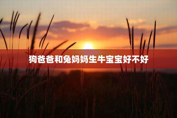 狗爸爸和兔妈妈生牛宝宝好不好