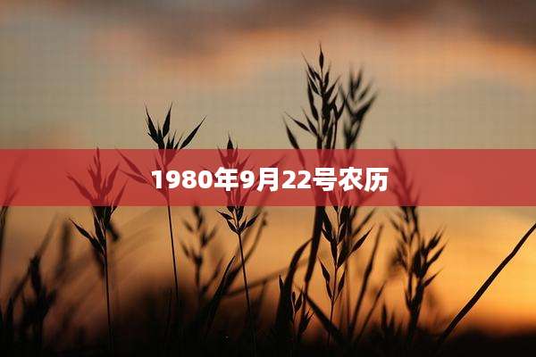 1980年9月22号农历