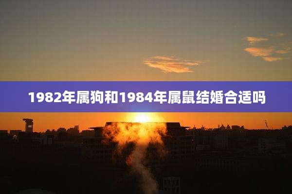 1982年属狗和1984年属鼠结婚合适吗