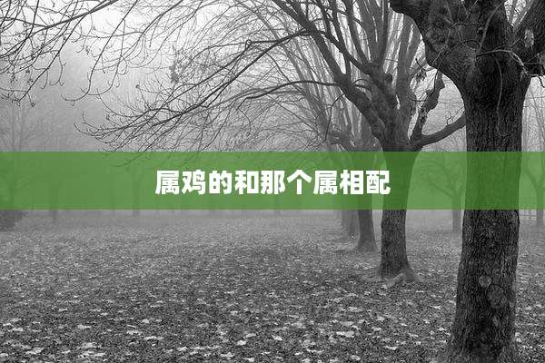 属鸡的和那个属相配