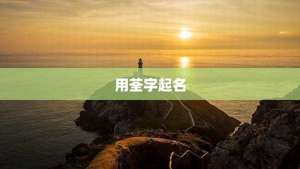 用荃字起名