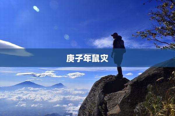 庚子年鼠灾