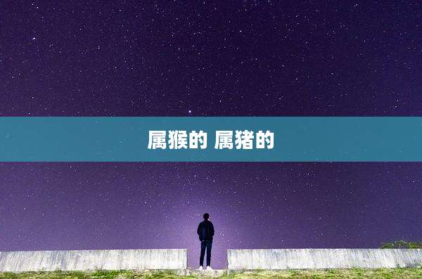 属猴的 属猪的