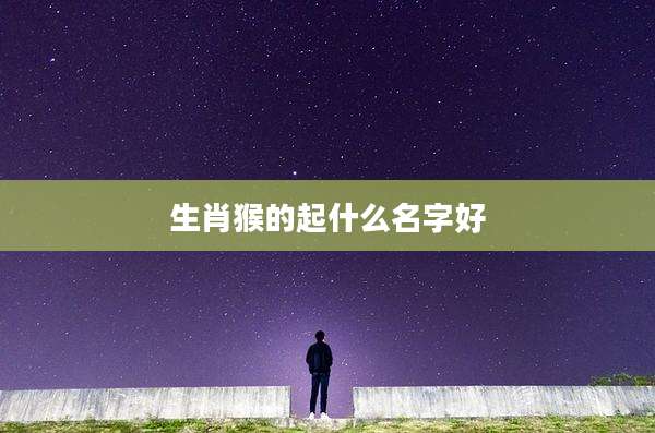 生肖猴的起什么名字好