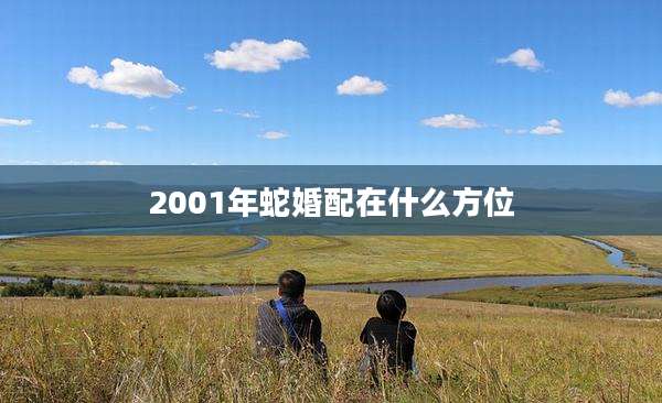 2001年蛇婚配在什么方位