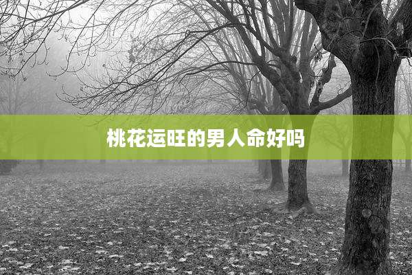 桃花运旺的男人命好吗