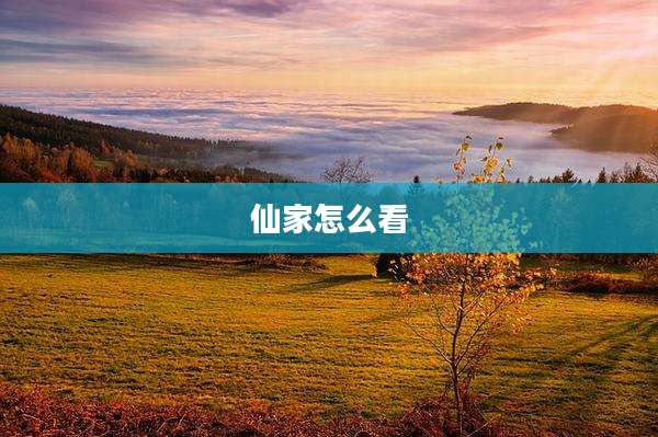 仙家怎么看