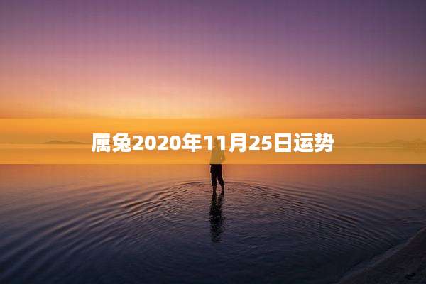 属兔2020年11月25日运势