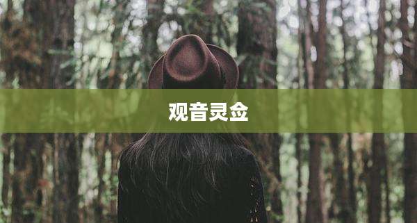 观音灵佥